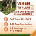 An informational gardening graphic titled 'WHEN TO PLANT bermuda grass seed' with a small inset photo of a person using a seed spreader on grass. The graphic includes text stating 'SEED IN LATE SPRING TO MID SUMMER,' plus icons and text for soil temperature 65°–70°F, 7-10 day germination, and full coverage in 4-6 weeks.