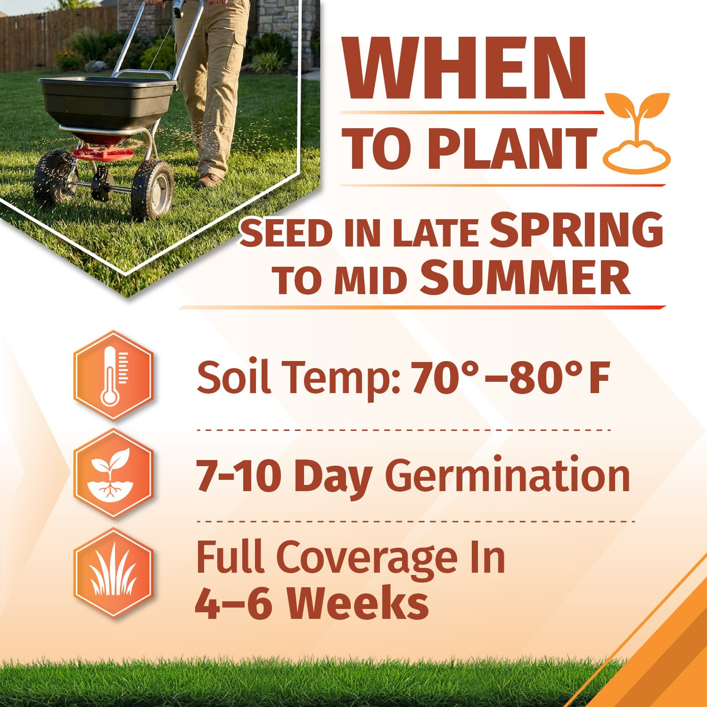 An informational gardening graphic titled 'WHEN TO PLANT bermuda grass seed' with a small inset photo of a person using a seed spreader on grass. The graphic includes text stating 'SEED IN LATE SPRING TO MID SUMMER,' plus icons and text for soil temperature 65°–70°F, 7-10 day germination, and full coverage in 4-6 weeks.