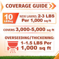 Coverage guide infographic for a 10 lb bag of bermuda grass seed showing coverage rates for new lawns and overseeding/thickening on grass, with text and simple diagrams on an orange and white background.