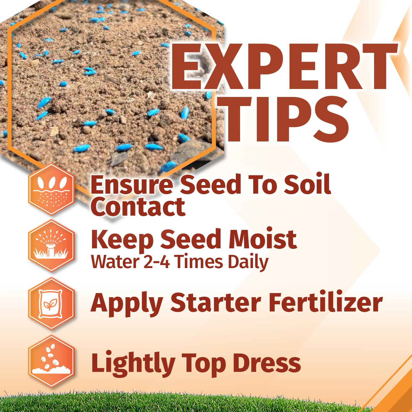 An informational graphic titled 'EXPERT TIPS for installing bermuda grass seed' with text about seeding: 'Ensure Seed To Soil Contact,' 'Keep Seed Moist Water 2-4 Times Daily,' 'Apply Starter Fertilizer,' and 'Lightly Top Dress.' It includes a close-up photo of soil with blue seed granules and orange icon graphics on a white background with a grass strip at the bottom.