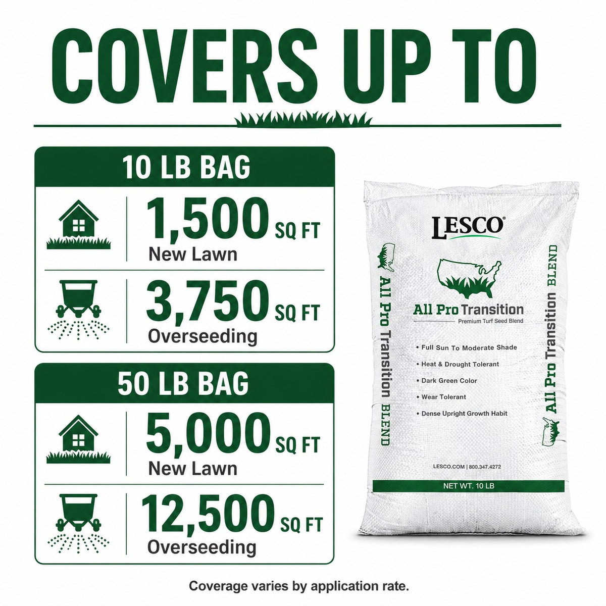 Lesco All Pro Transition Tall Fescue Grass Seed