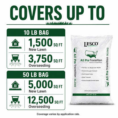Lesco All Pro Transition Tall Fescue Grass Seed