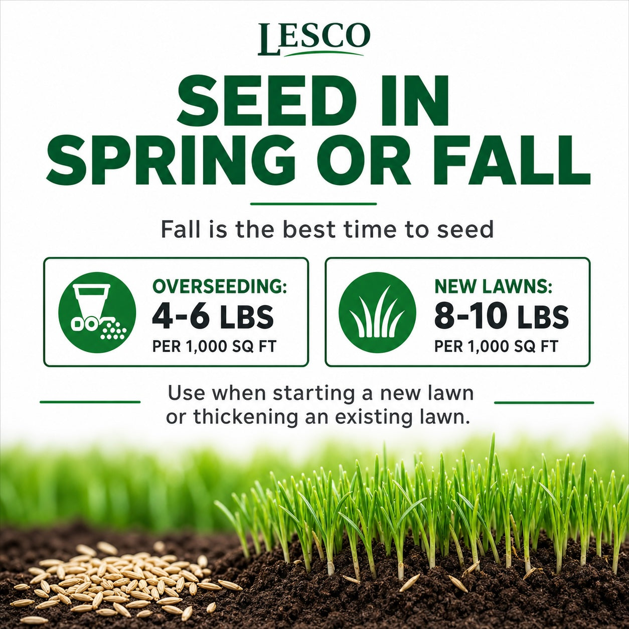 lowes lesco grass seed LESCO All Pro Transition Tall Fescue Grass Seed