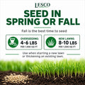 Lesco All Pro Transition Tall Fescue Grass Seed