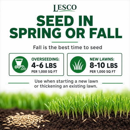 Lesco All Pro Transition Tall Fescue Grass Seed
