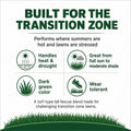 Lesco All Pro Transition Tall Fescue Grass Seed