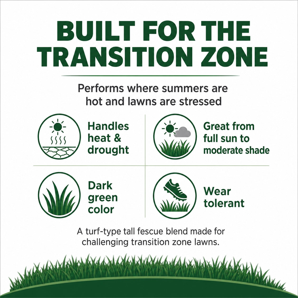 Lesco All Pro Transition Tall Fescue Grass Seed
