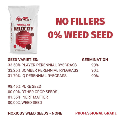 velocity perennial rye grass seed label