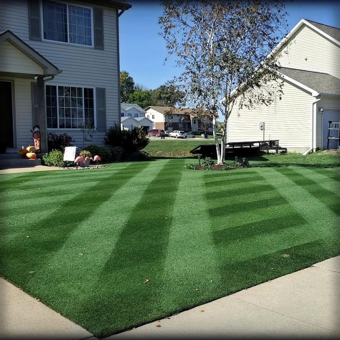 Perennial Rye Grass Seed for Overseeding Bermuda lawn - Velocity Grass Seed