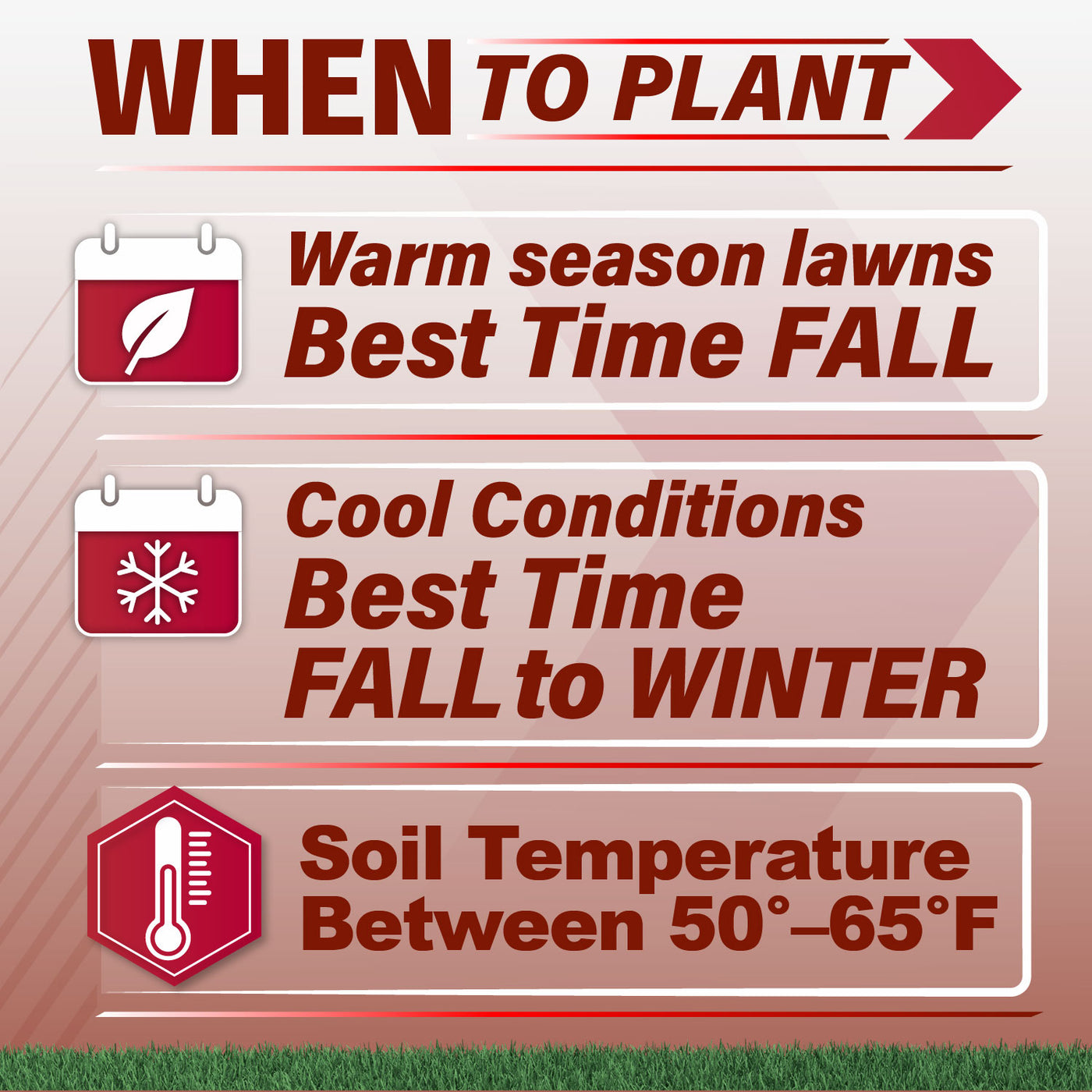An informational graphic titled 'WHEN TO PLANT' with three panels giving planting guidance: warm season lawns best time is fall, cool conditions best time is fall to winter, and soil temperature should be between 50°F and 65°F. The design uses red text and icons on a pale pink background with a strip of green grass at the bottom.