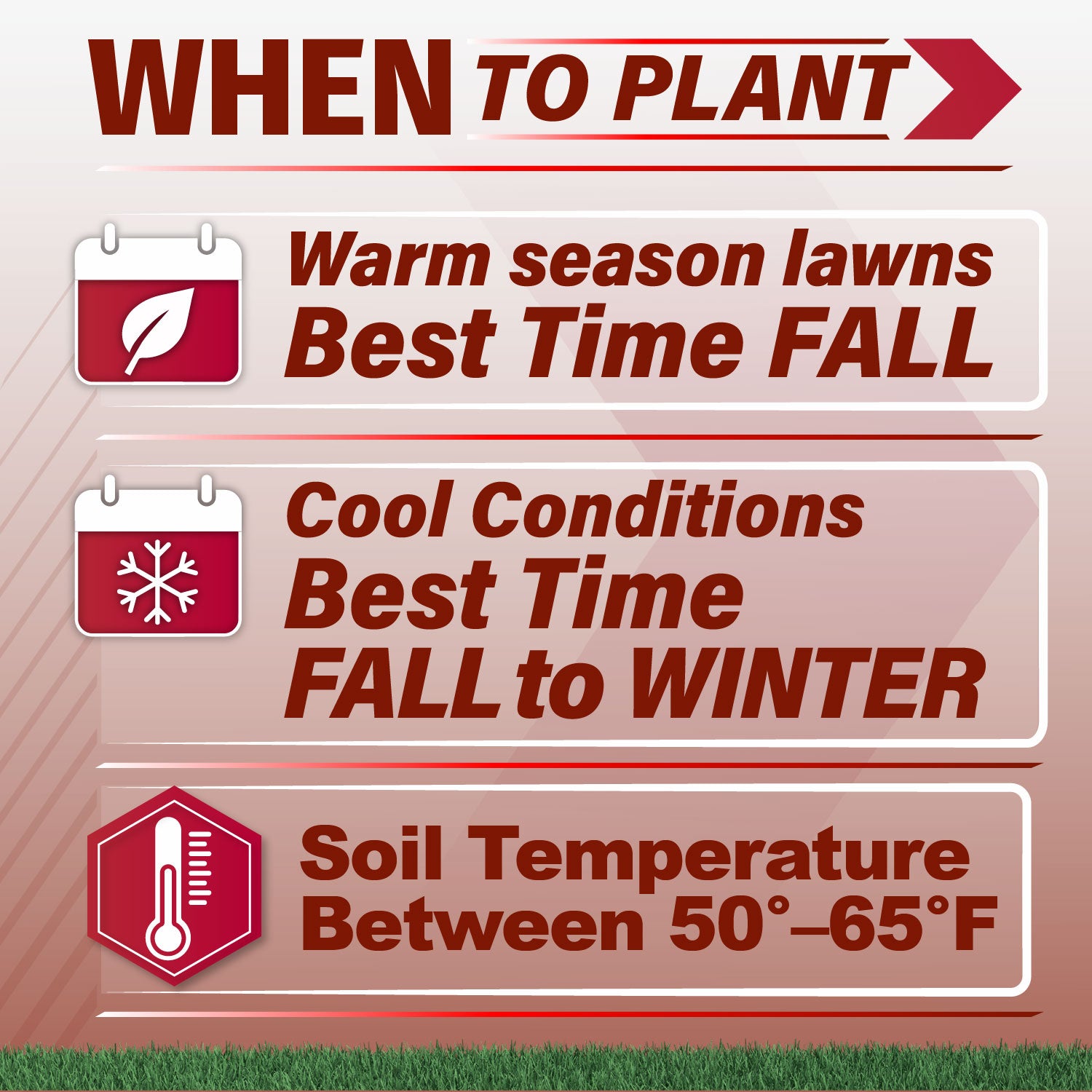 An informational graphic titled 'WHEN TO PLANT' with three panels giving planting guidance: warm season lawns best time is fall, cool conditions best time is fall to winter, and soil temperature should be between 50°F and 65°F. The design uses red text and icons on a pale pink background with a strip of green grass at the bottom.
