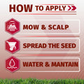 An instructional graphic titled 'HOW TO APPLY' with three labeled steps: 'MOW & SCALP,' 'SPREAD THE SEED,' and 'WATER & MANTAIN,' shown with icons and on a grassy background.
