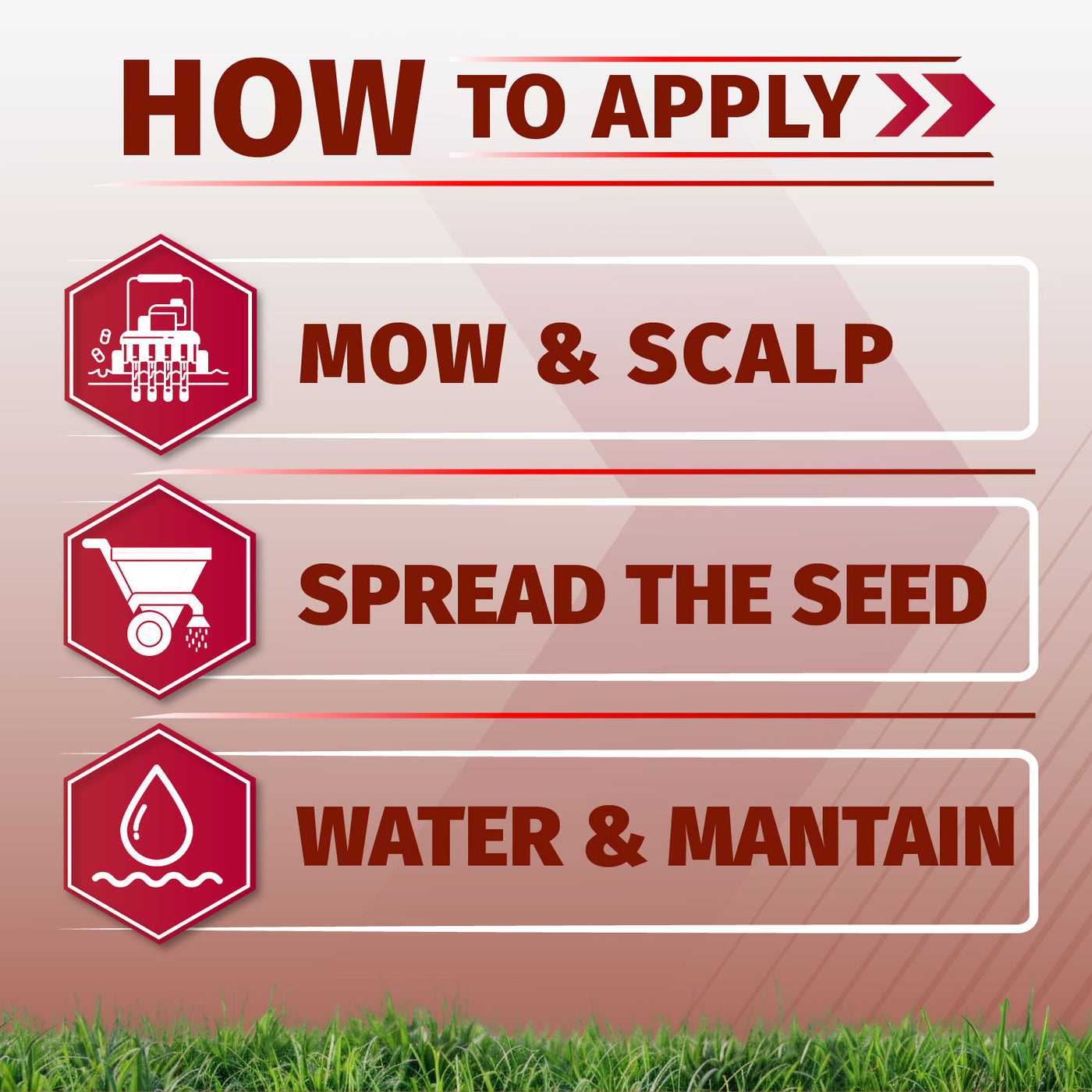 An instructional graphic titled 'HOW TO APPLY' with three labeled steps: 'MOW & SCALP,' 'SPREAD THE SEED,' and 'WATER & MANTAIN,' shown with icons and on a grassy background.