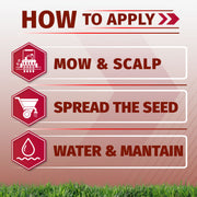 An instructional graphic titled 'HOW TO APPLY' with three labeled steps: 'MOW & SCALP,' 'SPREAD THE SEED,' and 'WATER & MANTAIN,' shown with icons and on a grassy background.