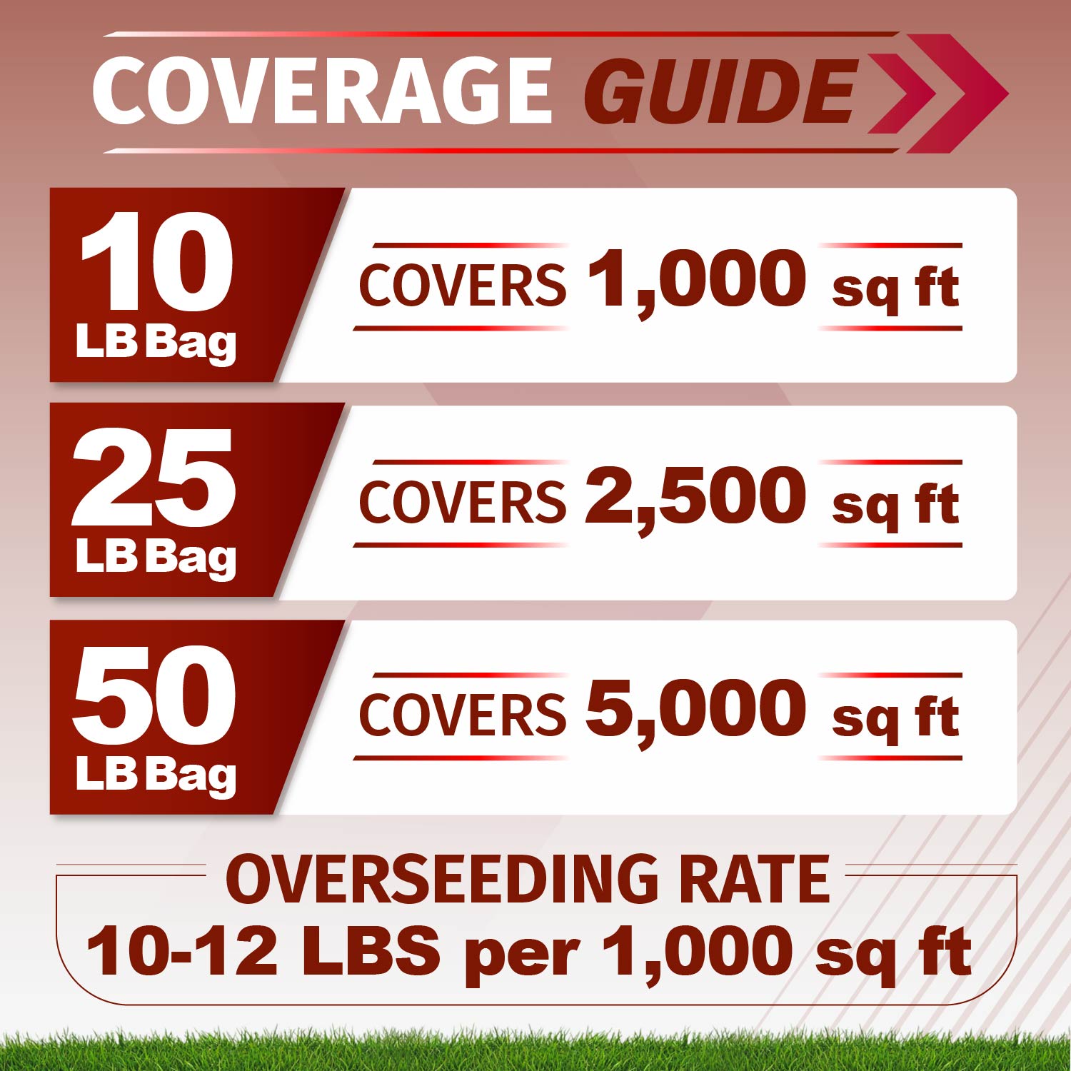 Coverage guide infographic for velocity perennial rye grass seed showing coverage rates for 10, 25, and 50 LB bags over 1,000, 2,500, and 5,000 sq ft, plus an overseeding rate of 10-12 lbs per 1,000 sq ft.
