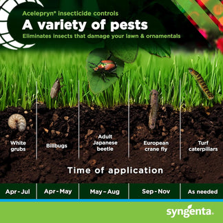Acelepryn Liquid Insecticide – Grub and Armyworm Control for Lawns