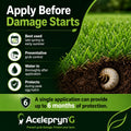 Acelepryn G Granular Insecticide