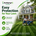 Acelepryn G Granular Insecticide