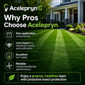 Acelepryn G Granular Insecticide