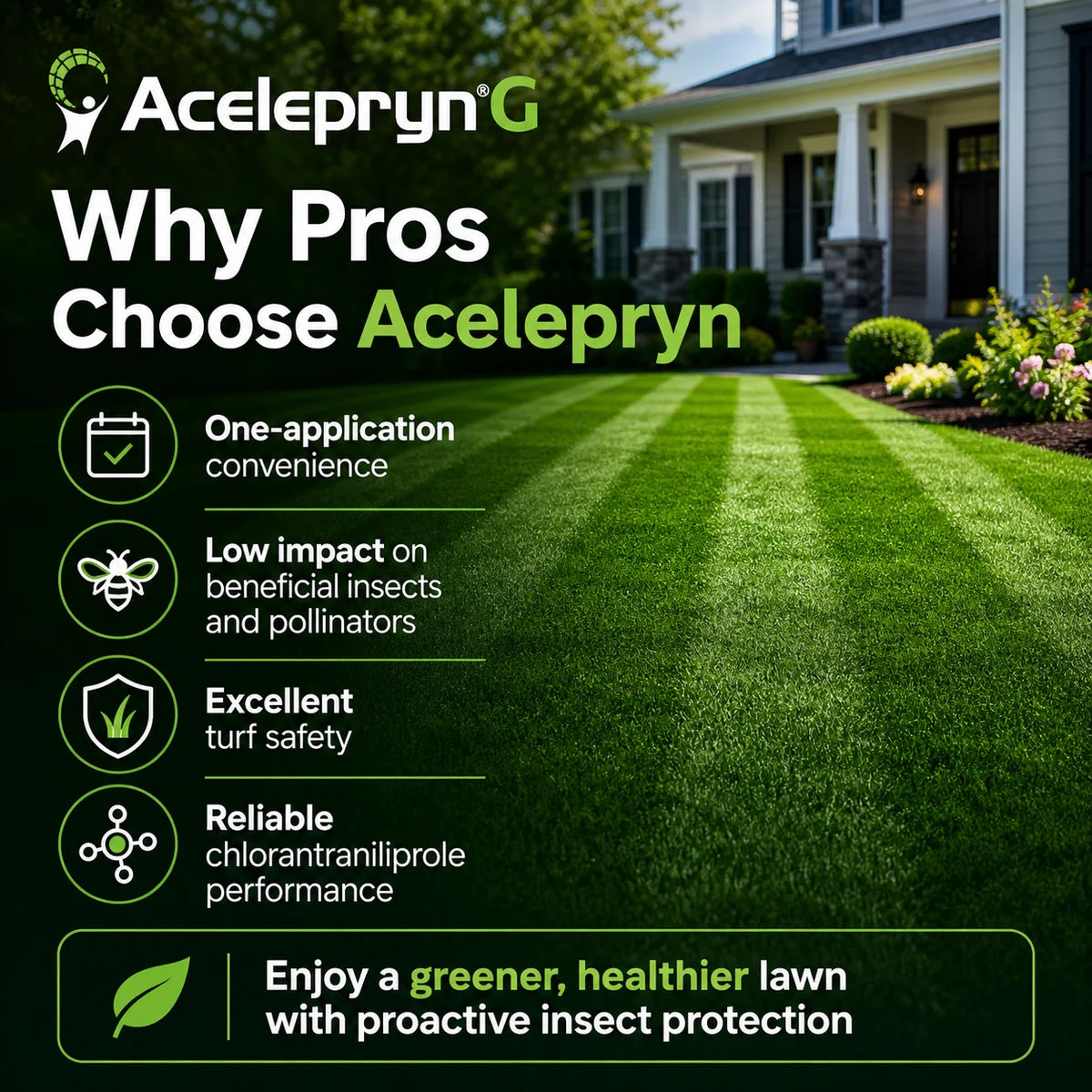 Acelepryn G Granular Insecticide