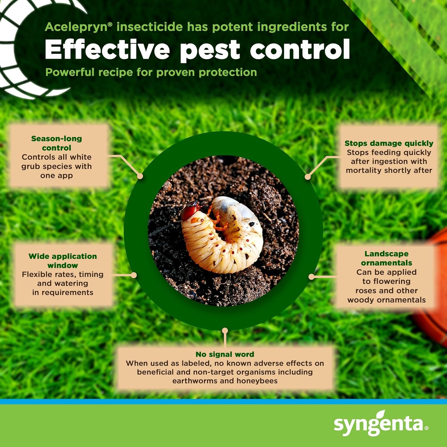 Acelepryn Liquid Insecticide – Grub and Armyworm Control for Lawns