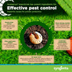 Acelepryn Liquid Insecticide – Grub and Armyworm Control for Lawns