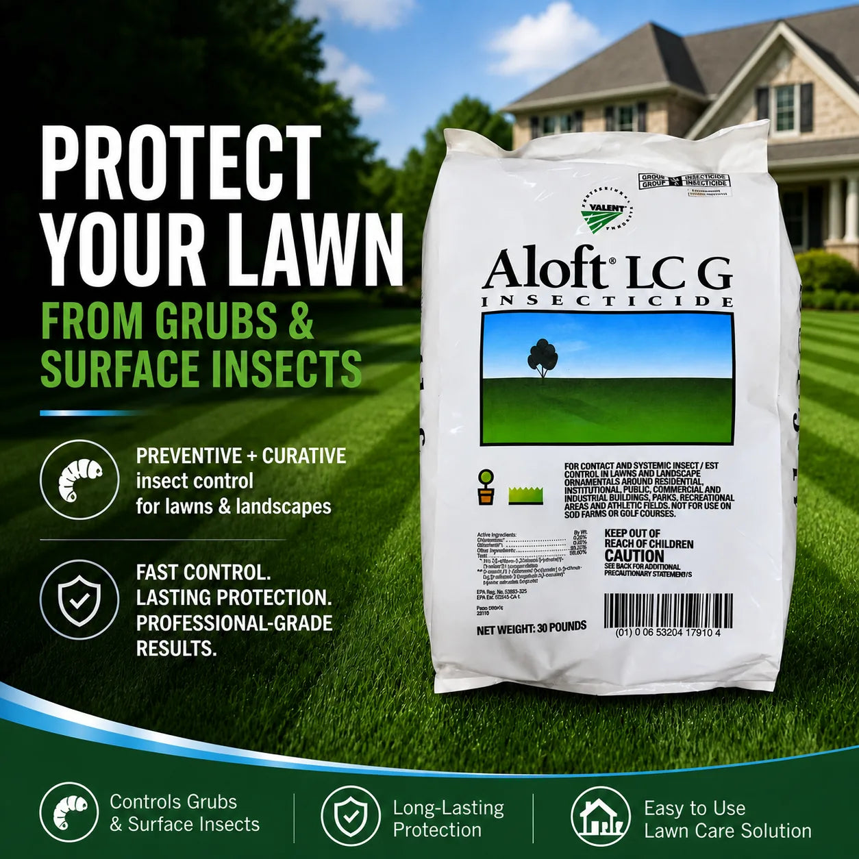 Aloft LC G Insecticide
