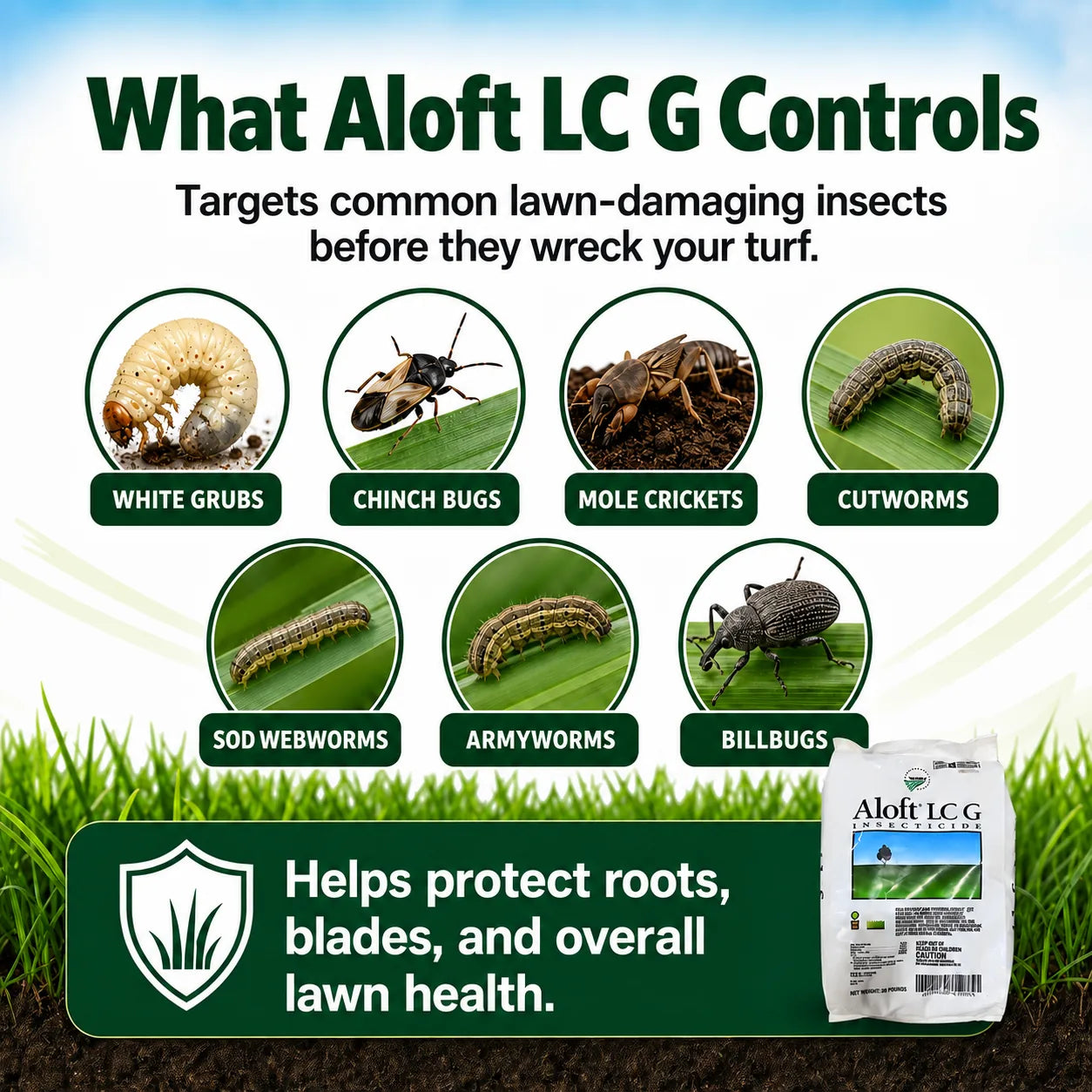 Aloft LC G Insecticide