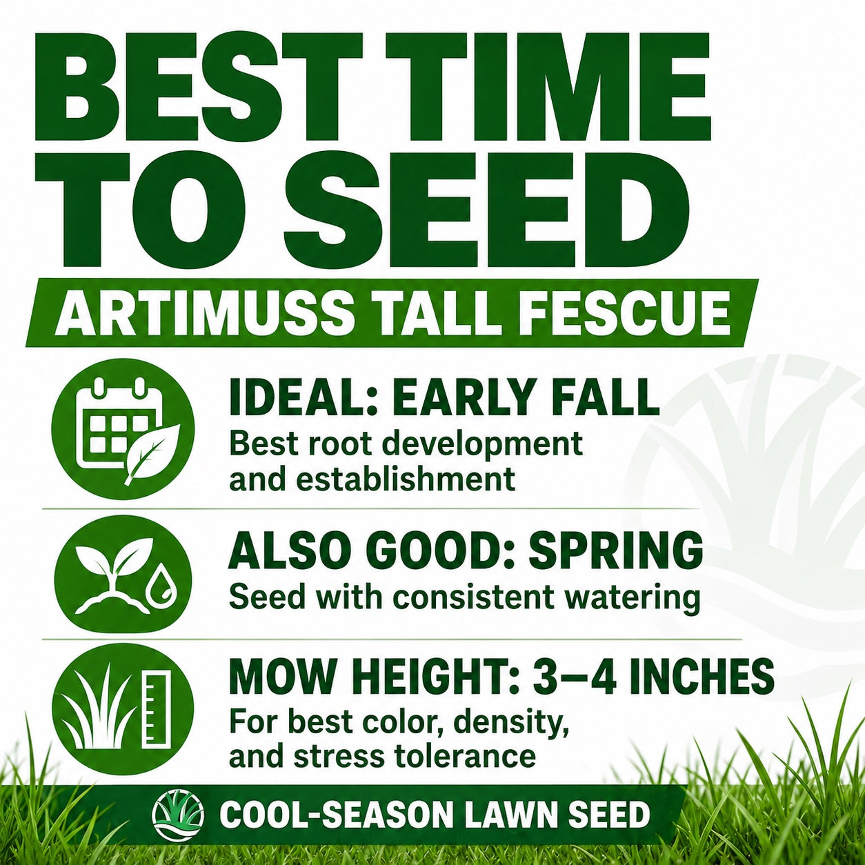 best time to plant tall fescue grass seed Artimuss Tall Fescue Grass Seed
