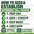 Instructions for seeding and establishing Artimuç tall fescue with icons and text on a white background.