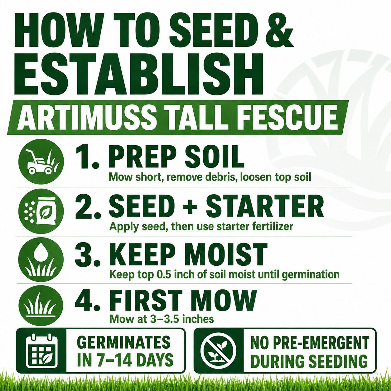 Instructions for seeding and establishing Artimuç tall fescue with icons and text on a white background.