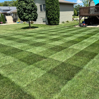 Mowed lawn with a geometric pattern in front of a house