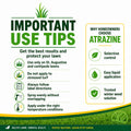Atrazine St. Augustine Weed Killer