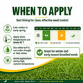 Atrazine St. Augustine Weed Killer