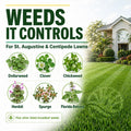 Atrazine St. Augustine Weed Killer