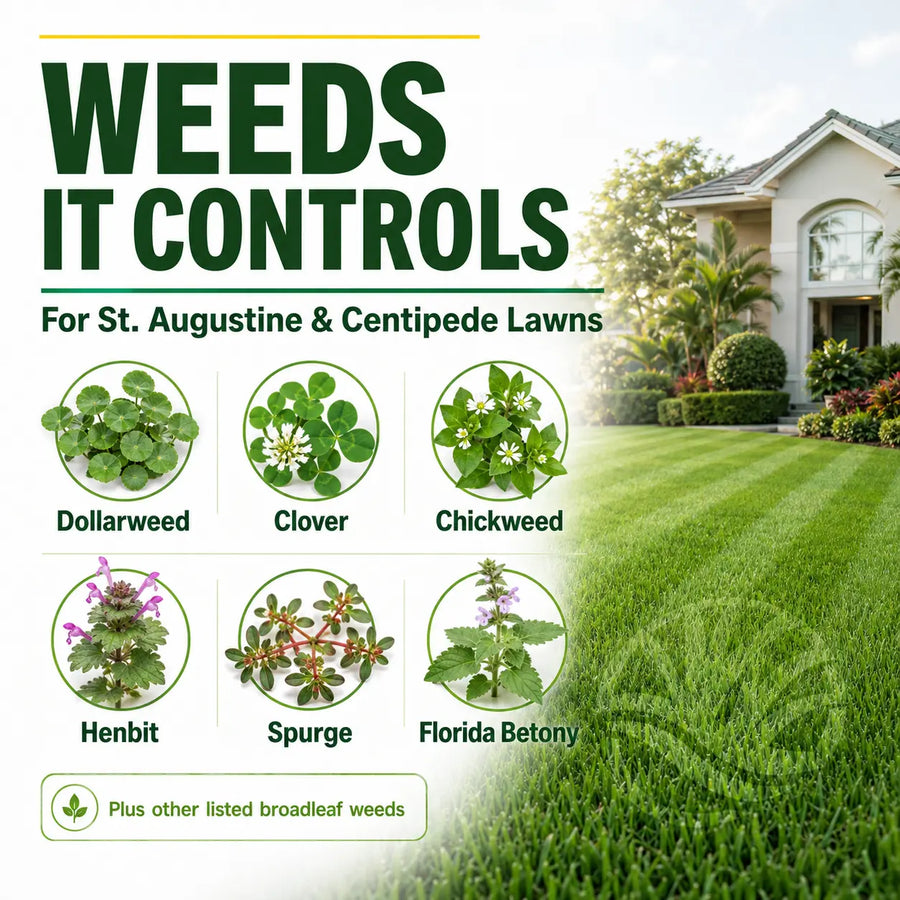 Atrazine St. Augustine Weed Killer
