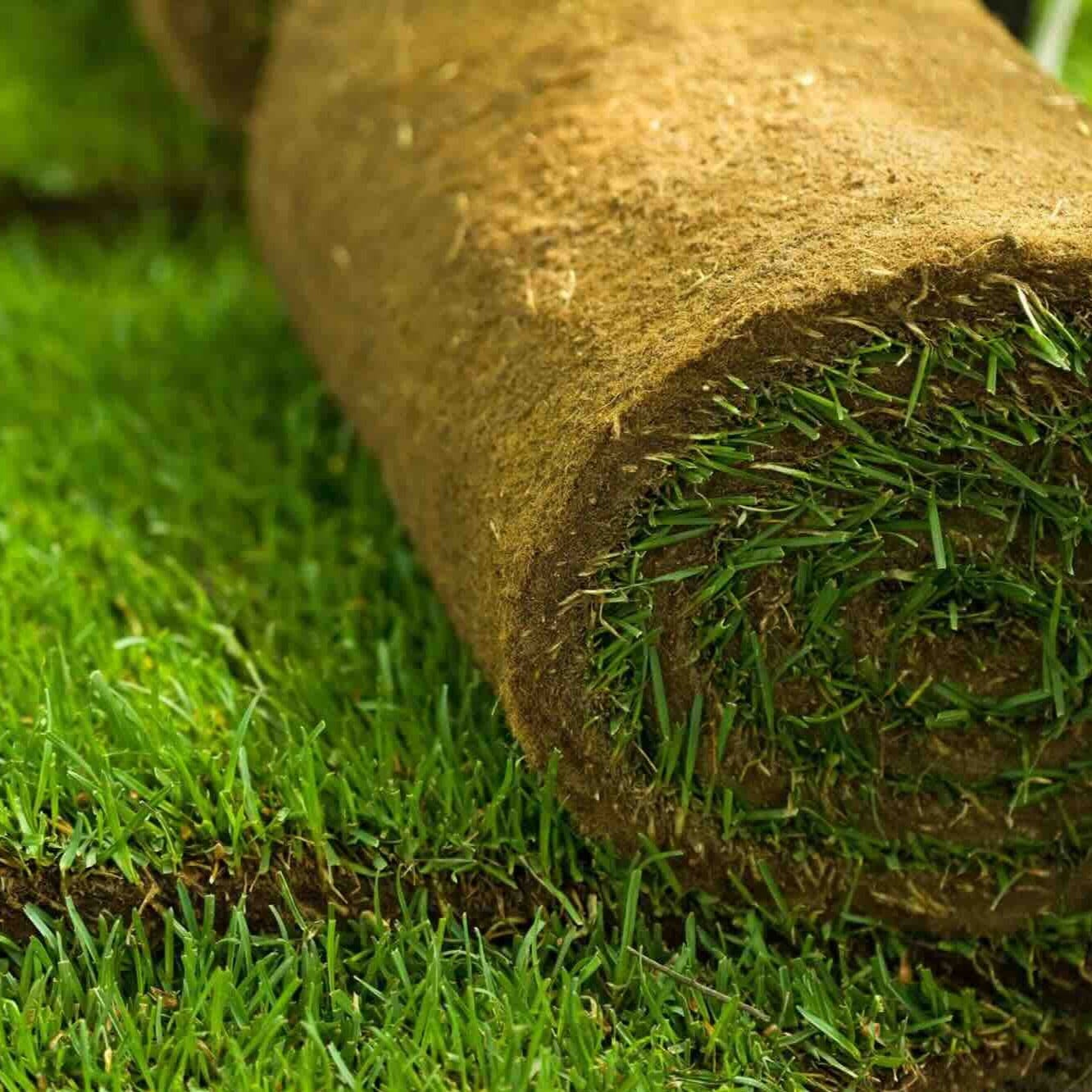 Bermuda Sod Buy TifTuf Bermuda Sod Online bermuda-sod-buy-tiftuf-bermuda-sod-online