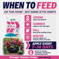 Lawn Synergy fertilizer packaging with application timing instructions on a white background