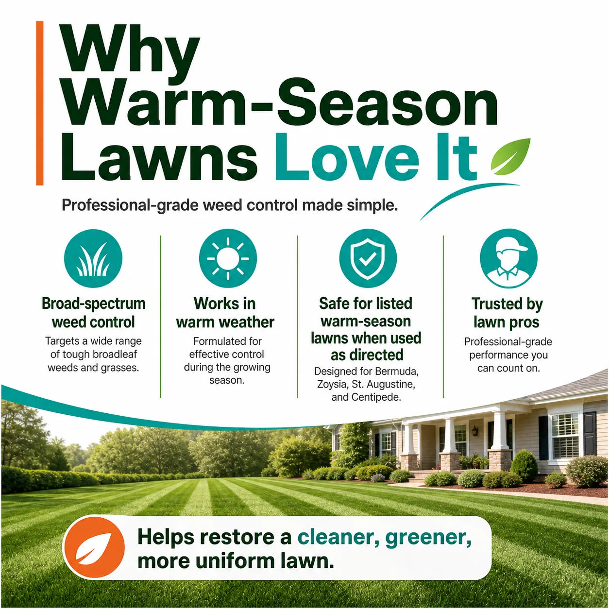 Celsius WG Herbicide WarmSeason Lawn Weed Control