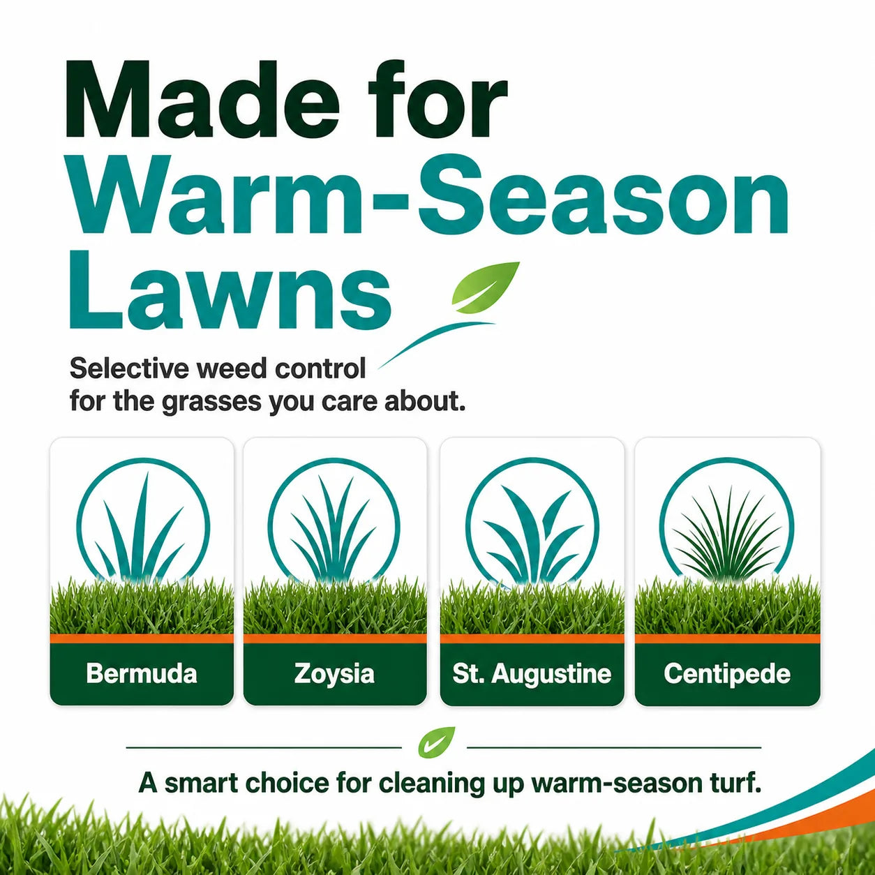 Celsius WG Herbicide WarmSeason Lawn Weed Control
