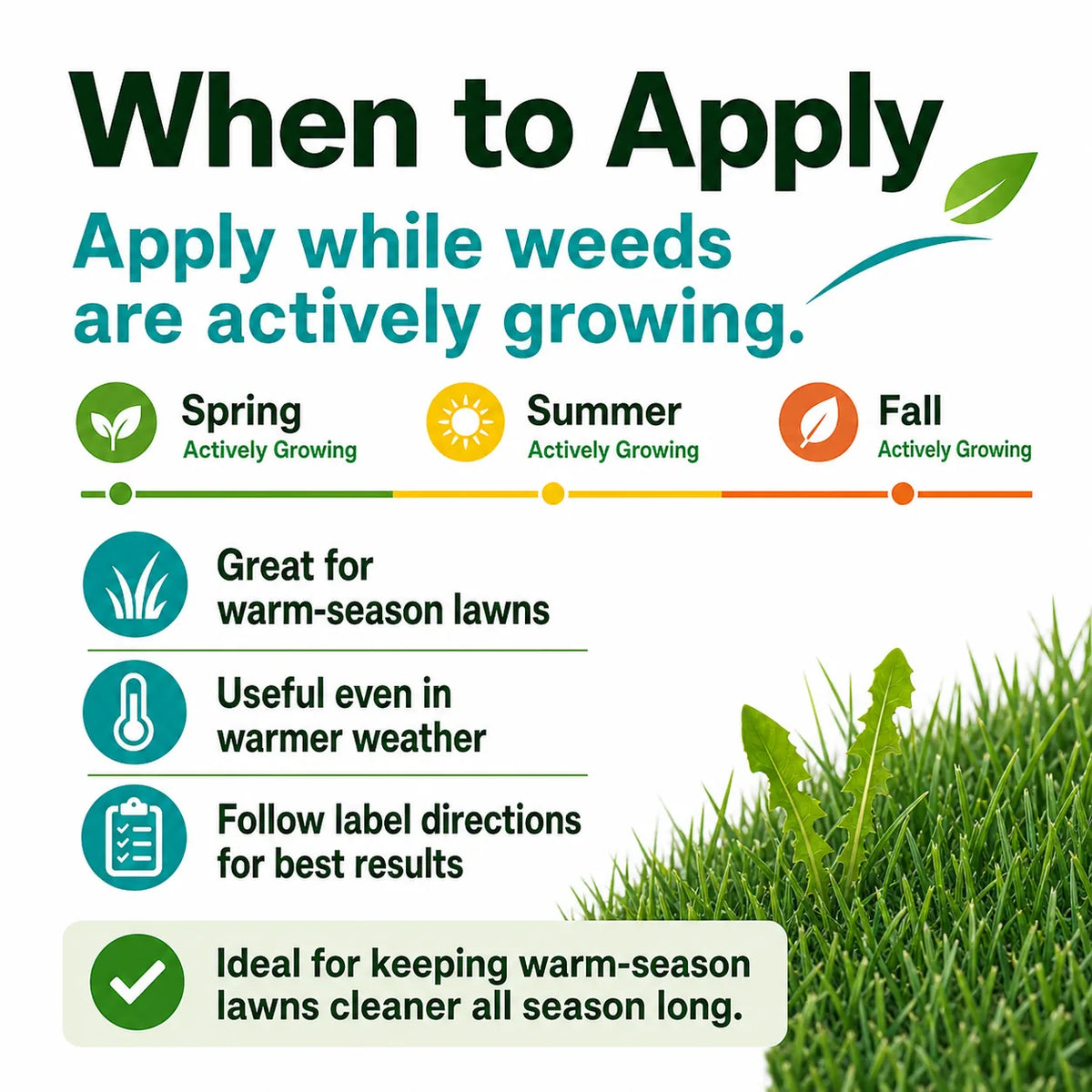 Celsius WG Herbicide WarmSeason Lawn Weed Control