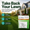 Celsius WG Herbicide