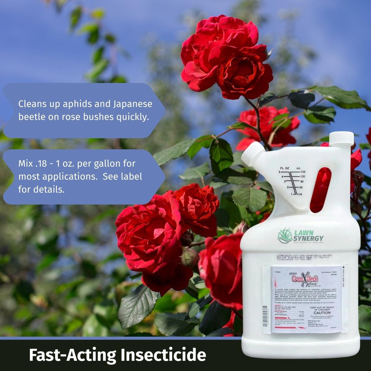 insecticide for roses