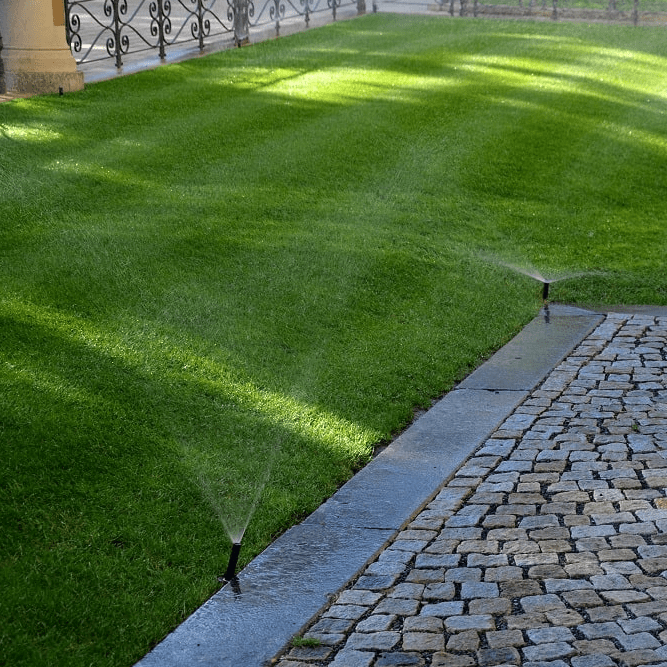 Dark Green Lawn 46-0-0 Urea