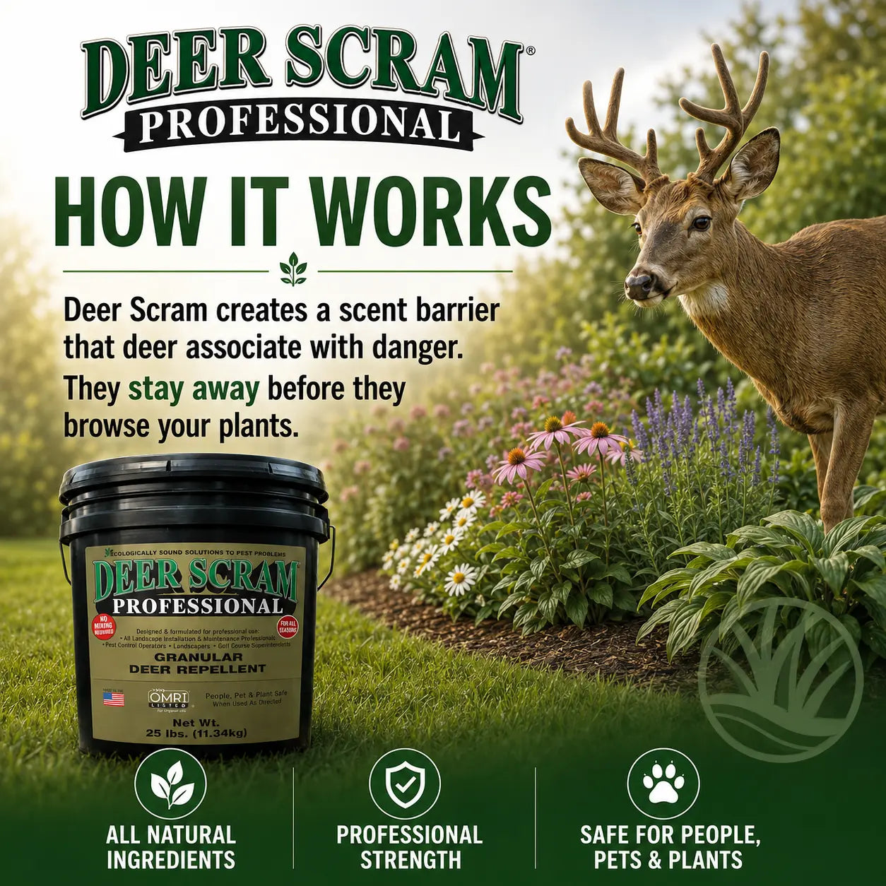 Advertisement for Deer Scram Professional with a deer and product packaging in a garden setting.