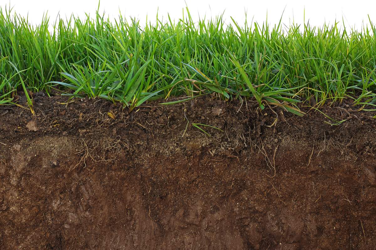 Unlock More From Your Lawn