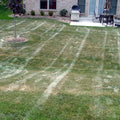 hydretain dry lawn
