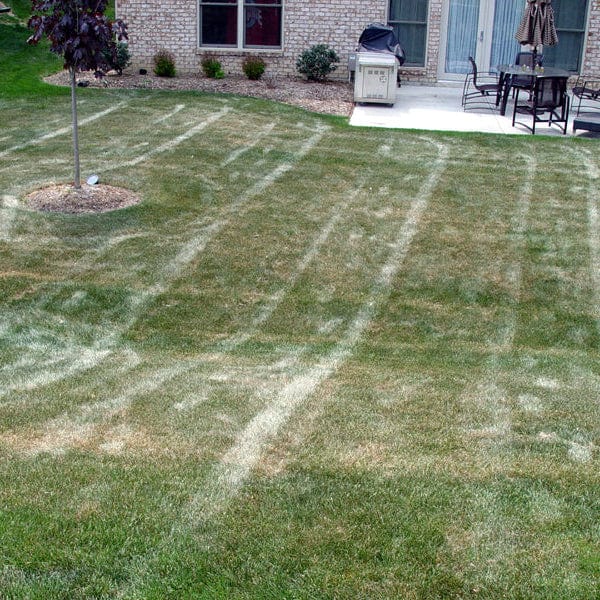 hydretain dry lawn