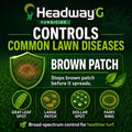 Headway G Fungicide controls these diseases.  Brown patch, large patch, gray leaf spot, dollar spot