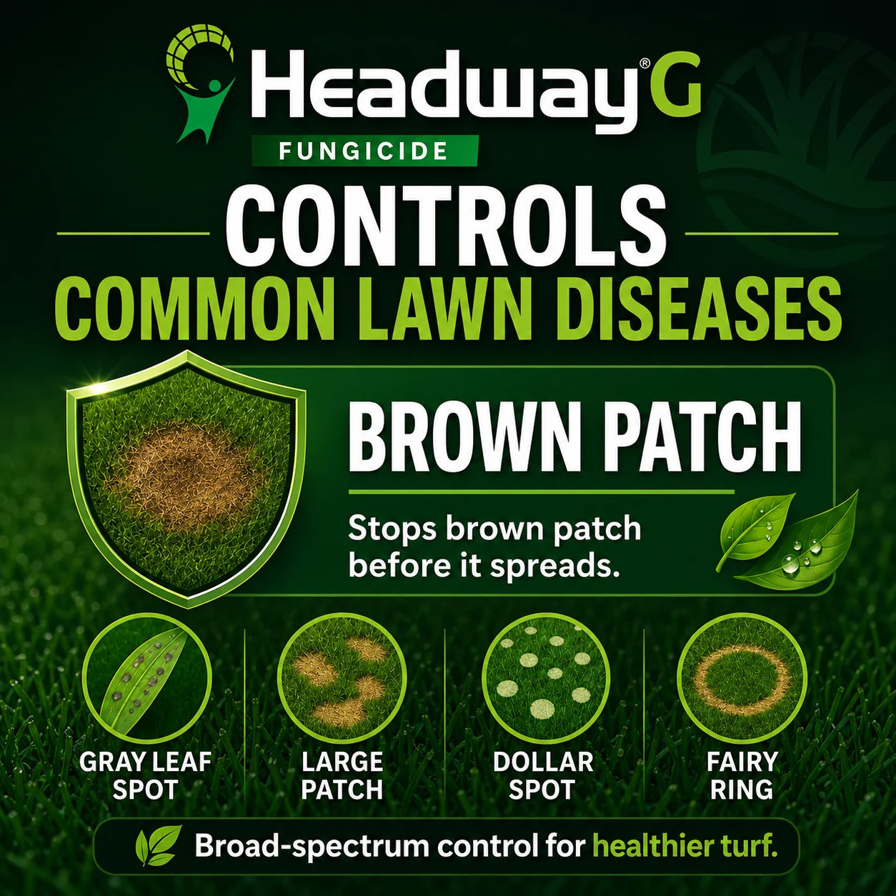Headway G Fungicide controls these diseases.  Brown patch, large patch, gray leaf spot, dollar spot